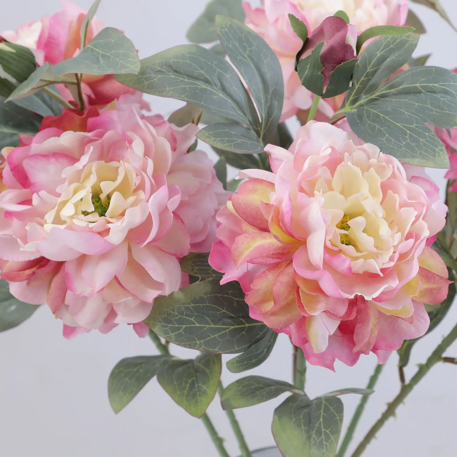 Artificial Peony Flower Single - Flower Wall Panel avaliação e preço