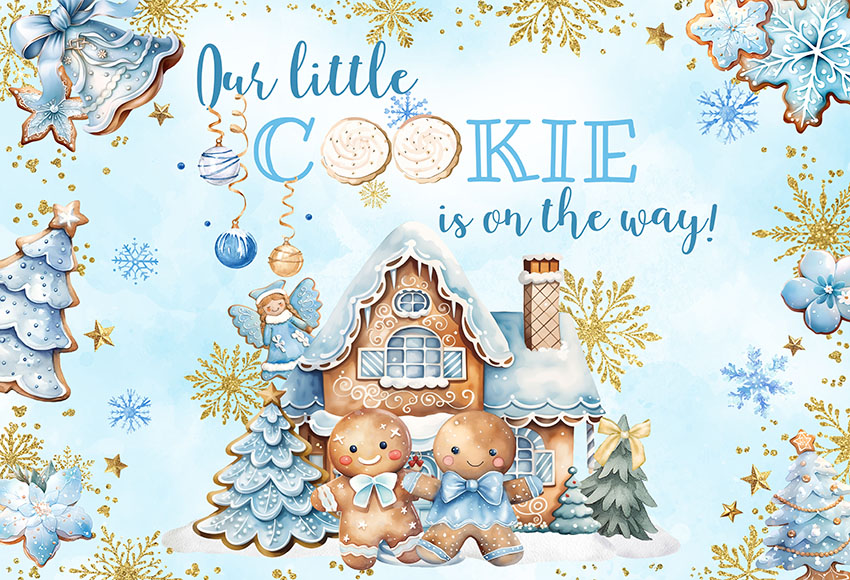 Christmas Gingerbread Baby Sho - Dessert Table Backdrop avaliação e preço